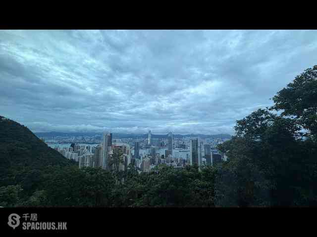 佐敦 - 白加士街43号 20
