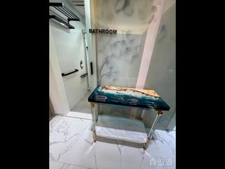 北角 - 莊士維港軒 14