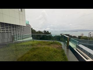 薄扶林 - 薄扶林道138号 19