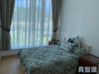将军澳 - Savannah 04