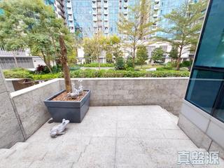 将军澳 - Savannah 12