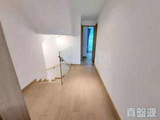 将军澳 - Savannah 24