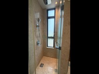 Causeway Bay - Jones Hive 13