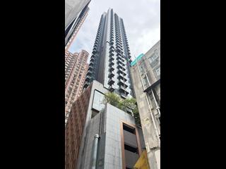 Causeway Bay - Jones Hive 14