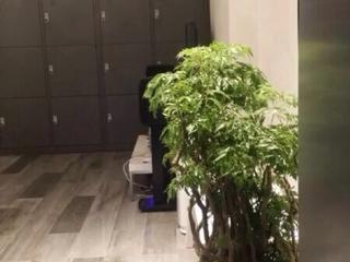 坚尼地城 - 紫兰楼 04