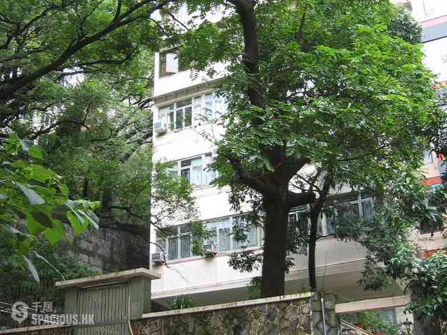 坚尼地城 - 紫兰楼 13
