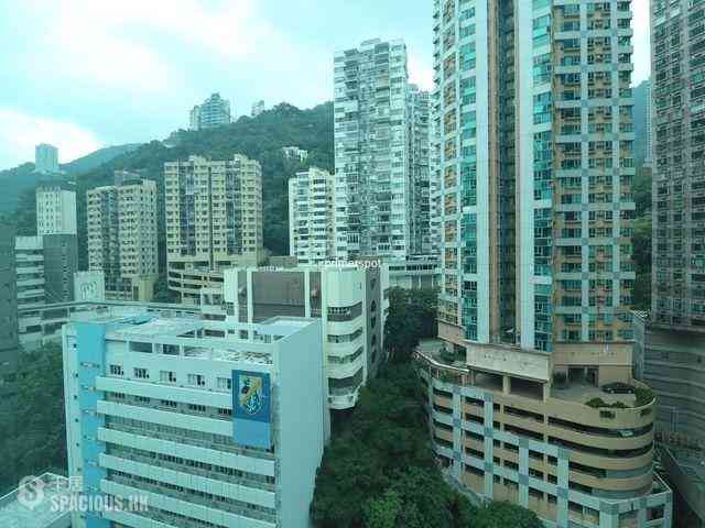 Wan Chai - 1, Star Street 06