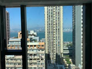 Sai Ying Pun - One・Artlane 05
