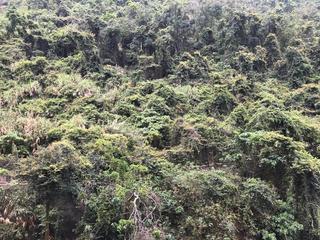 中半山 - 承德山莊2座 10