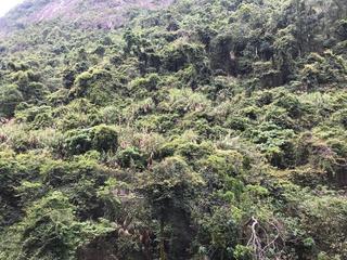 中半山 - 承德山莊2座 11