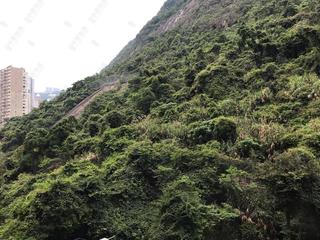 中半山 - 承德山莊2座 12