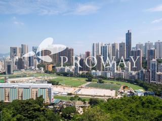 Stubbs Road - 24, Tung Shan Terrace 02