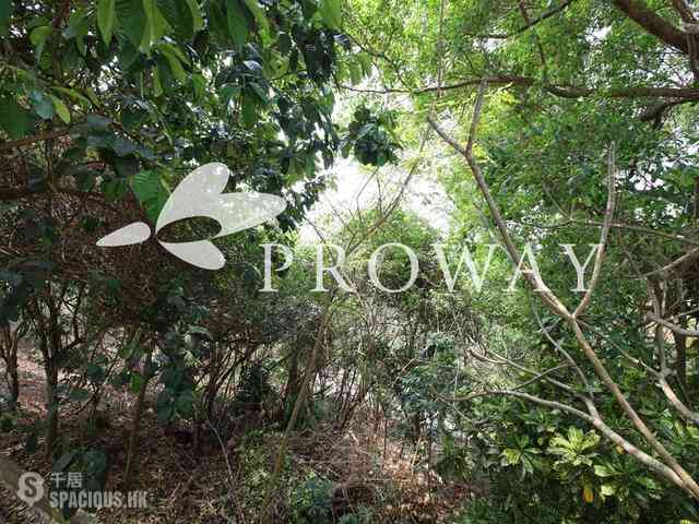 Pok Fu Lam - Pine Grove 02
