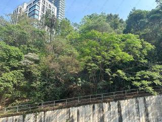 西半山 - 年丰园1座 14