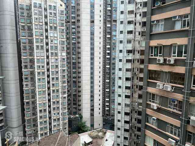 中半山 - 高云台 04
