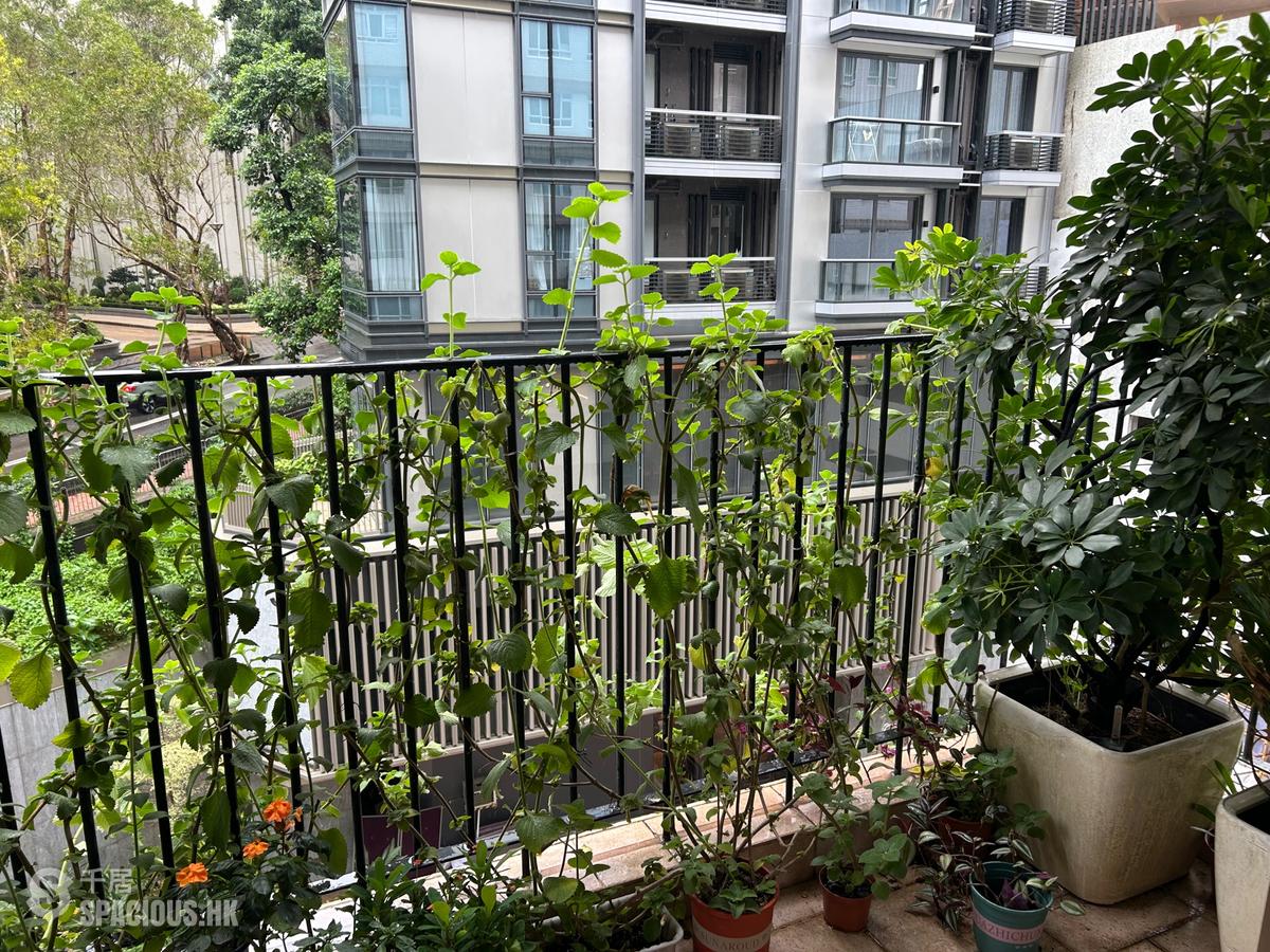 Wan Chai - Phoenix Court Block 2 01