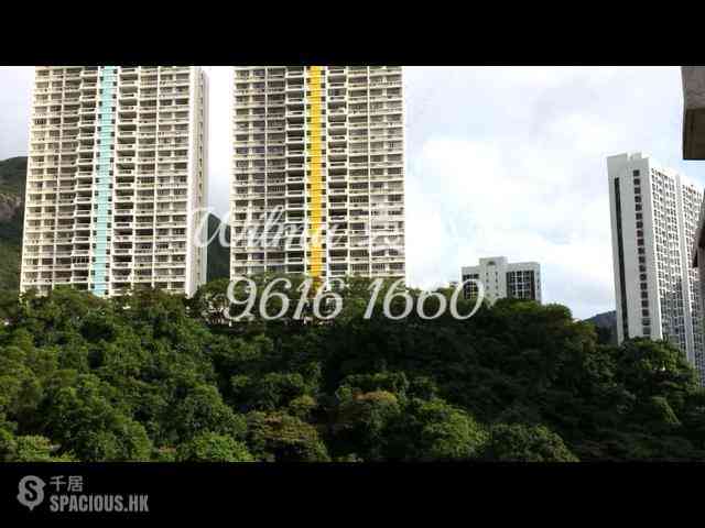 Tai Hang - Flora Garden 05
