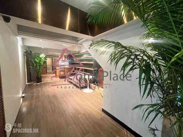 Poho - 19, New Street 02