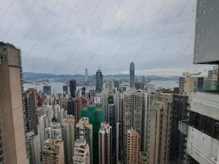 中半山 - 丽豪阁B座 11