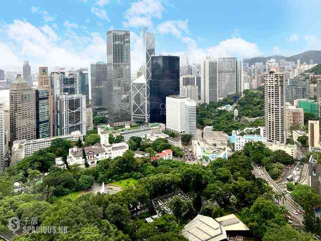 中半山 - 旧山顶道2号 19