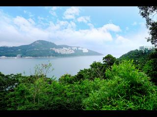 Chung Hom Kok - 30, Cape Road 05