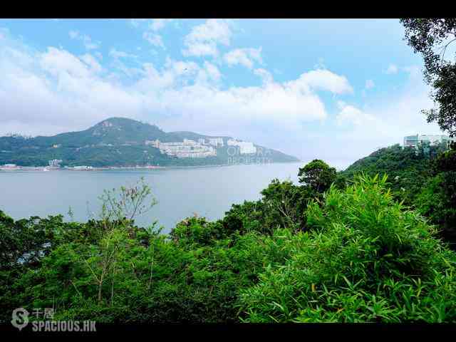 Chung Hom Kok - 30, Cape Road 05