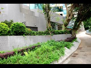 Stubbs Road - 150, Kennedy Road 19