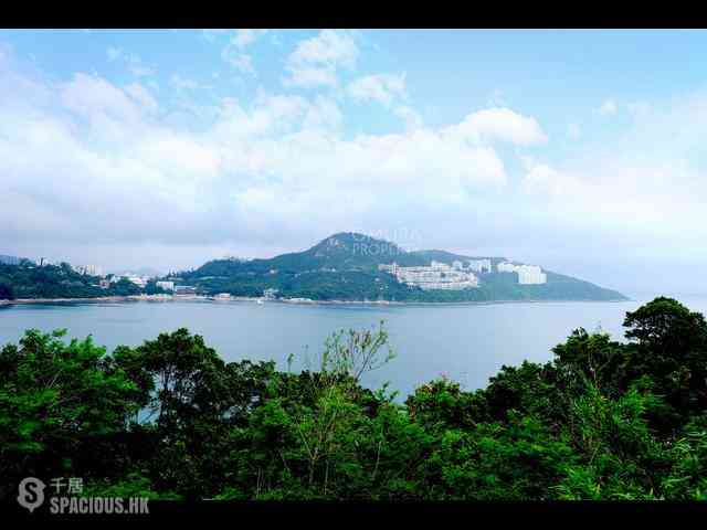 Chung Hom Kok - 30, Cape Road 27