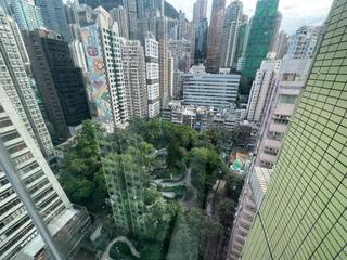 Sheung Wan - Medal Court 07