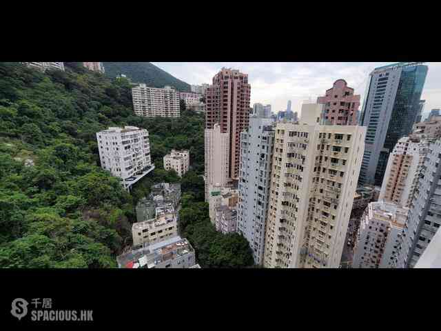 跑马地 - 纪云峰 01