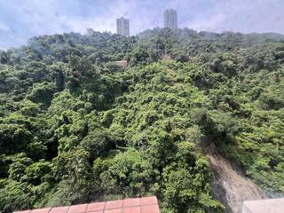 東半山 - 慧景台 11