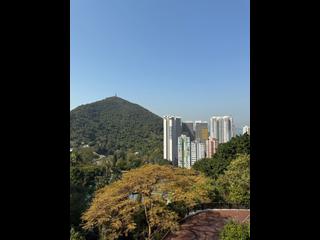 Pok Fu Lam - Mount Pokfulam 14