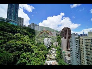 跑马地 - 纪云峰 11