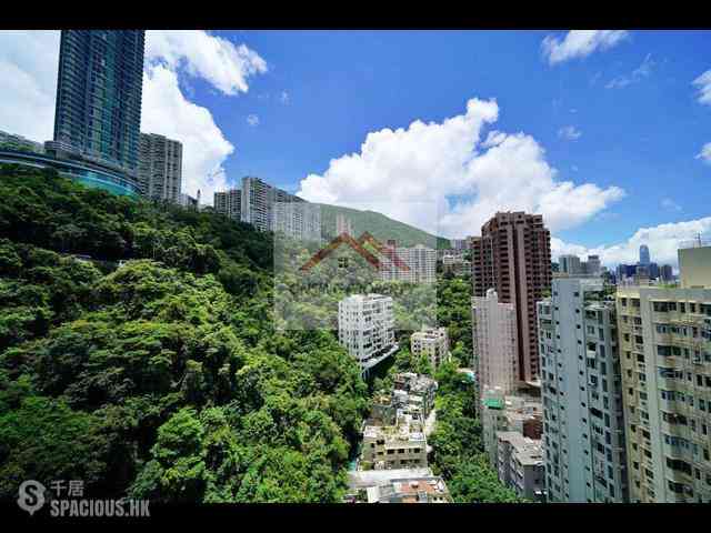 跑马地 - 纪云峰 11