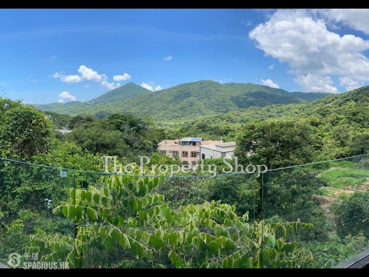 西贡 - 界咸村 01