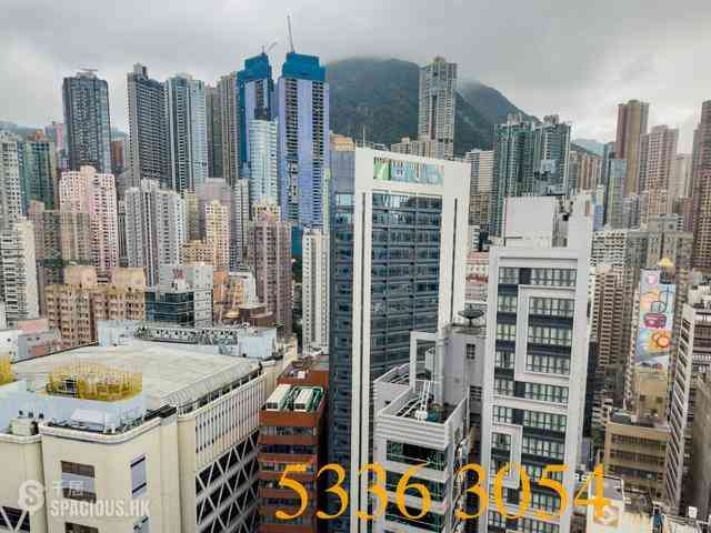 Sheung Wan - Hongway Garden 31