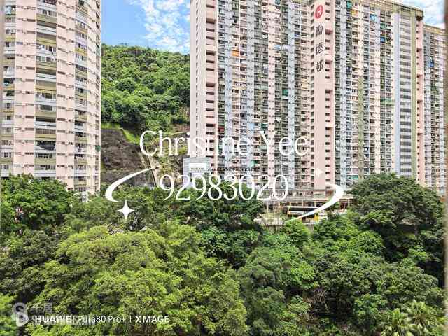 大坑 - 浣纱花园 08