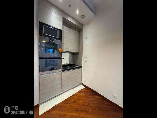 Wan Chai - The Avenue Phase 2 Block 1 05