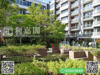 Clear Water Bay - Mount Pavilia 15