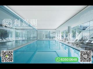 Clear Water Bay - Mount Pavilia 25
