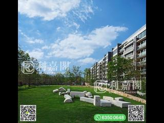 Clear Water Bay - Mount Pavilia 17