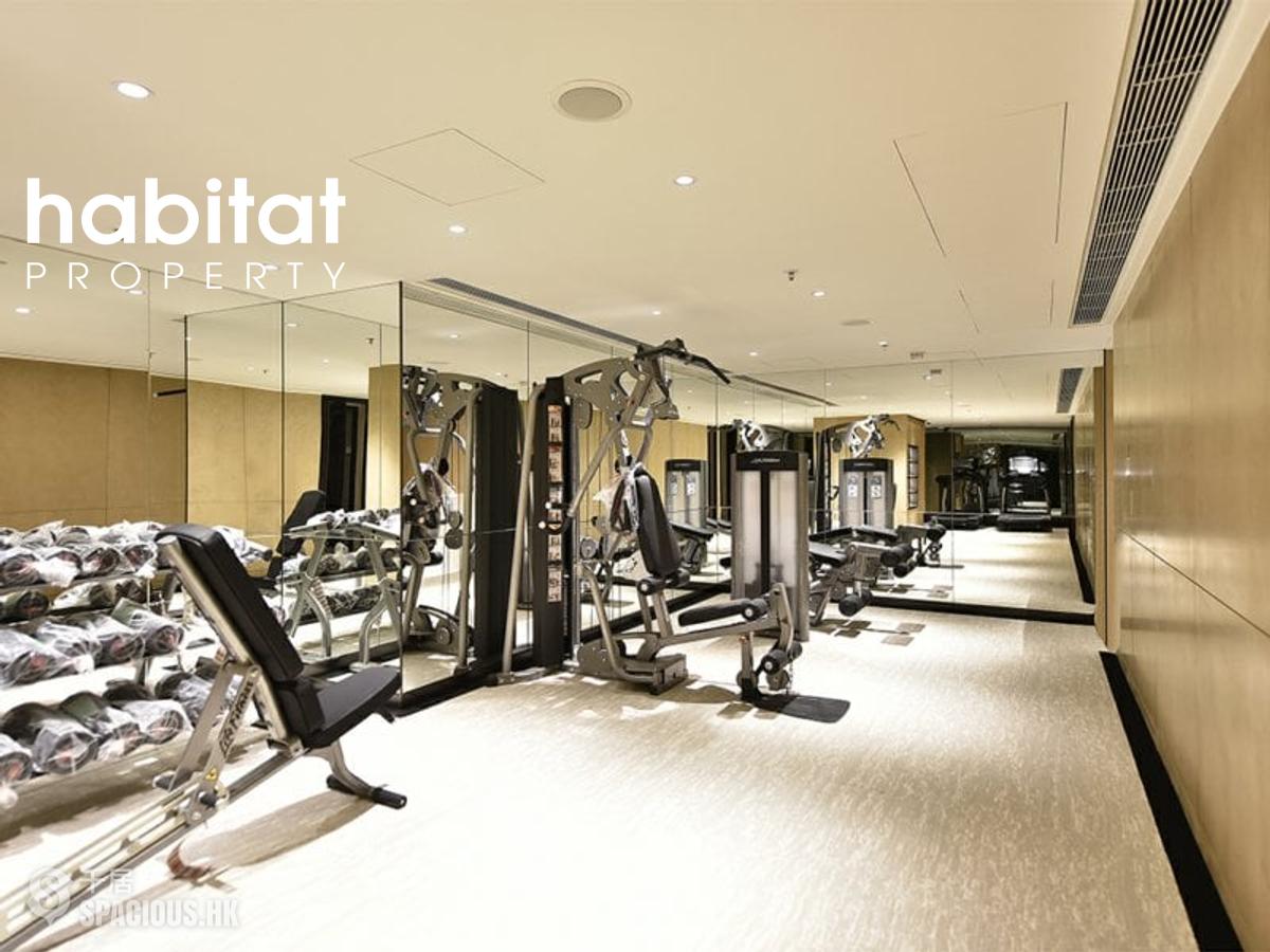 Mid Levels Central - 3, MacDonnell Road 01