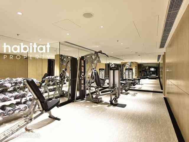 Mid Levels Central - 3, MacDonnell Road 01