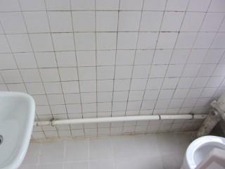 Quarry Bay - Westlands Gardens 09
