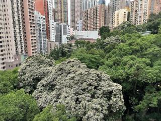 西半山 - 兴华大厦B座 06