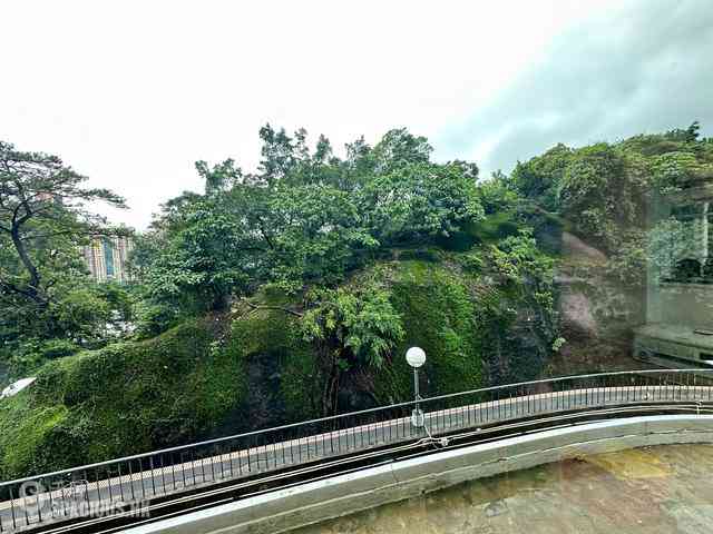 Tai Hang - Swiss Towers 15