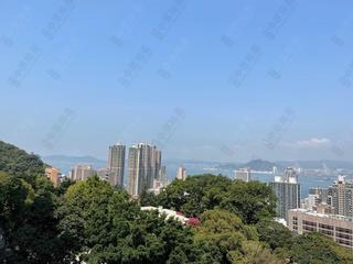西半山 - 璈珀 05