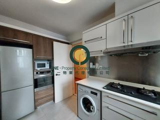 Mid Levels Central - Robinson Place 02