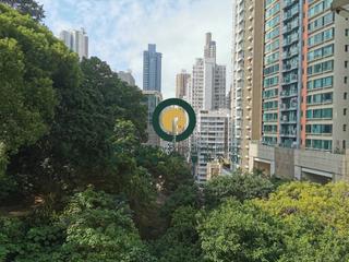 坚尼地城 - 文豪花园 07
