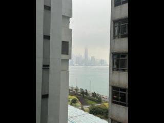 North Point - City Garden 06